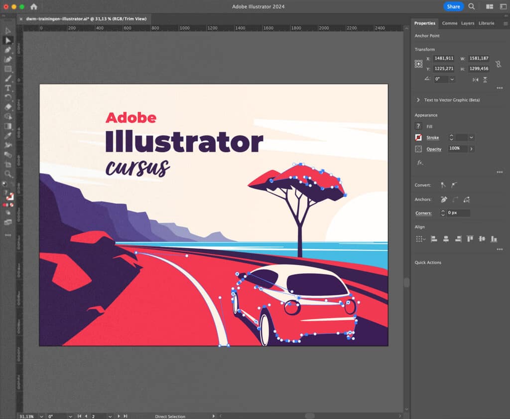 Volg nu de tweedaagse Adobe Illustrator cursus bij DWM Trainingen.