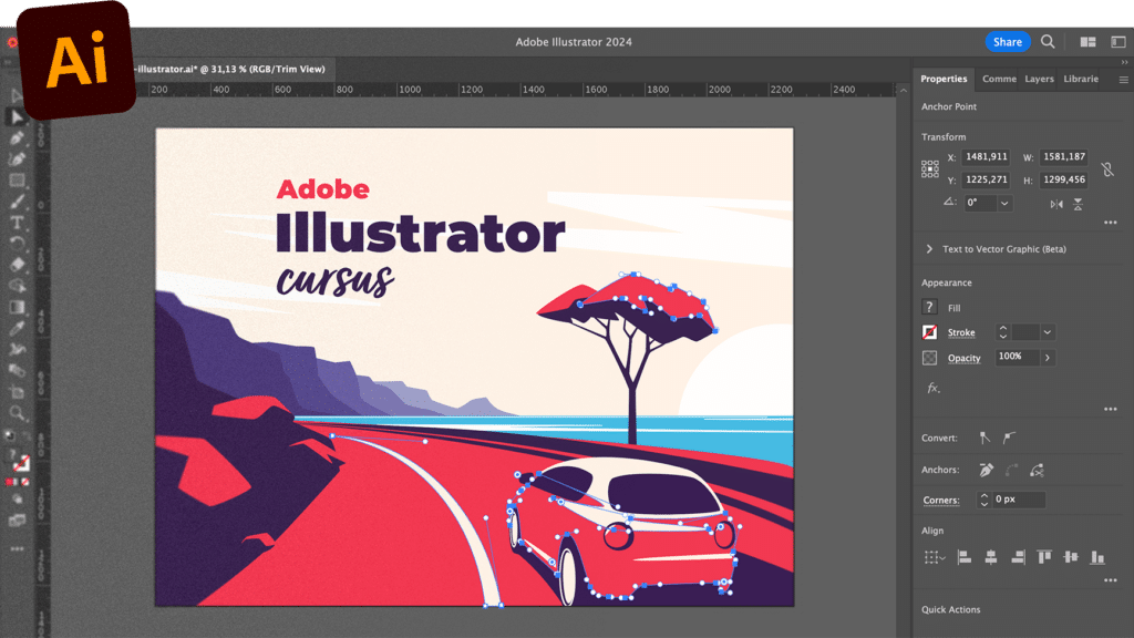 Volg nu de tweedaagse Adobe Illustrator cursus bij DWM Trainingen.