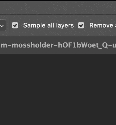 Monster van alle lagen, of Sample All Layers in de opties van de Tool Verwijderen, of de Remove tool