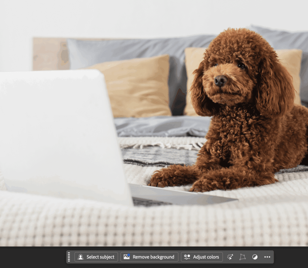Klik op Select Subject in de Contextual Taskbar