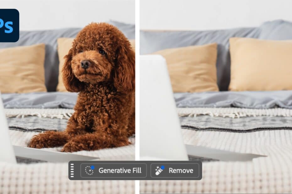 Remove Objects in Photoshop 2025 and 2026