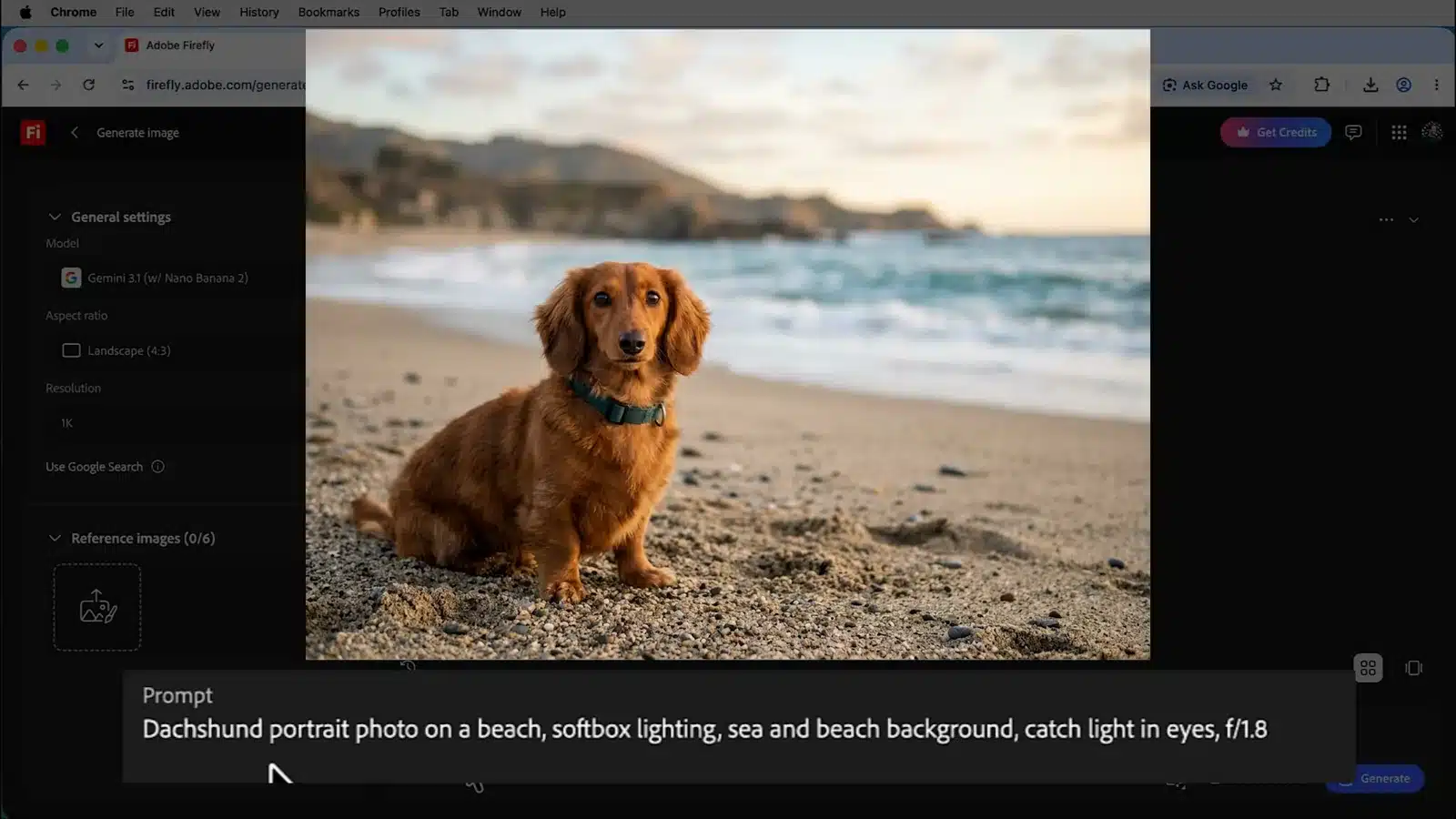 Adobe Firefly prompts met fotografische termen: teckel op het strand, softboxlicht, catchlights en diafragma f/1.8