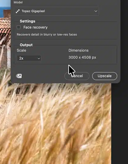Instellingen van Generative Upscale met Face recovery, schaal 2x en de nieuwe afmetingen in pixels